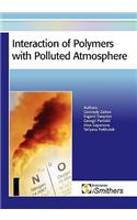 Interaction of Polymers with Polluted Atmosphere