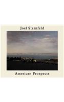 Joel Sternfeld - American Prospects