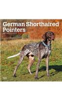 GERMAN SHORTHAIRED POINTERS INTL 2020 SQ