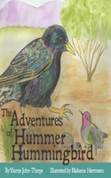 Adventures of Hummer Hummingbird