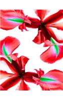Red Iris Flower Notebook: Notebook Journal 8.5 X 11 202 Lined Pages