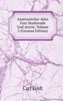 Anatomischer Atlas Fuer Studirende Und Aerzte, Volume 3 (German Edition)