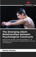 Emerging Adult: Relationships between Psychological Constructs