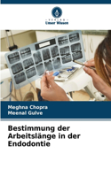 Bestimmung der Arbeitslänge in der Endodontie