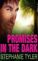 Promises in the Dark: A Shadow Force Novel