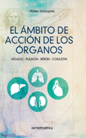 Ámbito de Acción de los Órganos