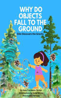 Why Do Objects Fall to the Ground