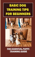 Basic Dog Training Tips For Beginners