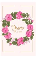 Diário de 10 anos