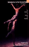 Introduction to the Human Body