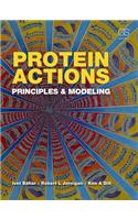 Protein Actions