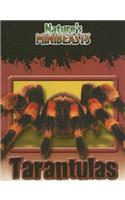 Tarantulas