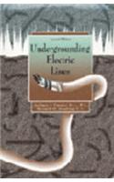Undergrounding Electric Lines