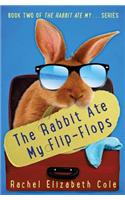 Rabbit Ate My Flip-Flops