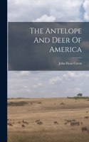 Antelope And Deer Of America