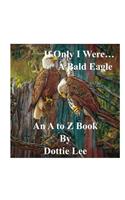 If Only I Were...A Bald Eagle