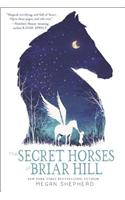 The Secret Horses of Briar Hill