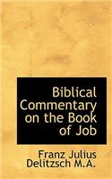 Biblical Commentary on the Book of Job: (English)
