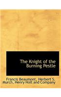 The Knight of the Burning Pestle