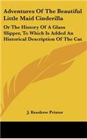 Adventures of the Beautiful Little Maid Cinderilla: Or the History of a Glass Slipper, to Which Is Added an Historical Description of the Cat