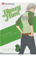 Honey Hunt, Volume 3