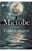 From Microbe to Consciousness