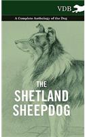 Shetland Sheepdog - A Complete Anthology of the Dog