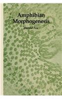 Amphibian Morphogenesis