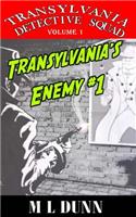 The Transylvania Detective Squad