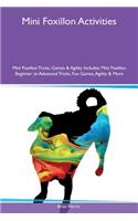 Mini Foxillon Activities Mini Foxillon Tricks, Games & Agility Includes: Mini Foxillon Beginner to Advanced Tricks, Fun Games, Agility & More