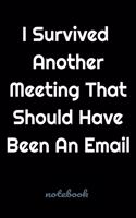 I Survived Another Meeting That Should Have Been An Email: lined blank notebook journal