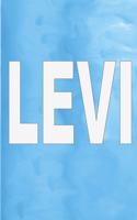 Levi: 100 Pages 6 X 9 Personalized Name on Journal Notebook