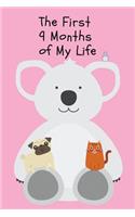 The First 9 Months of My Life