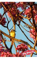 My Journal: Bird in tree with pink blooms design 108 page journal 6x9 inches for note-taking, list-making and everyday reflection(Birds in Nature Collection Everyday Journal)