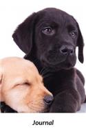 Journal: Adorable Labrador Retrievers 6 X 9 Lined Journal