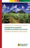 Isolamento de bactéria endofítica produtora de Levana