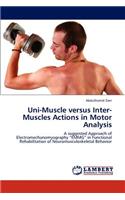 Uni-Muscle Versus Inter-Muscles Actions in Motor Analysis