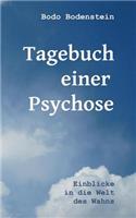Tagebuch einer Psychose: Einblicke in die Welt des Wahns(German)