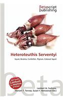 Heteroteuthis Serventyi