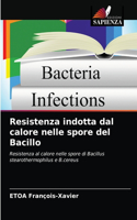 Resistenza indotta dal calore nelle spore del Bacillo