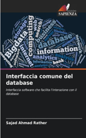 Interfaccia comune del database