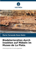 Biodeterioration durch Insekten auf Möbeln im Museo de La Plata.
