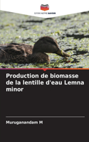 Production de biomasse de la lentille d'eau Lemna minor