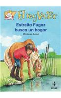 Estrella Fugaz Busca Un Hogar