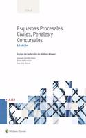 Esquemas procesales civiles, penales y concursales (6.a edicion)