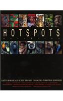 Hotspots Revisited