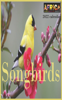 Songbirds calendar 2022: 12 Month Mini Calendar from Jan 2022 to Dec 2022, Cute Gift Idea - Pictures in Every Month