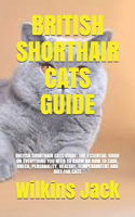 British Shorthair Cats Guide
