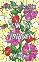 Color By Number Adult Coloring Book: with Fun, Easy, and Relaxing Coloring Pages (Color by Number Coloring Books for Adults)