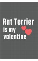 Rat Terrier is my valentine: For Rat Terrier Dog Fans